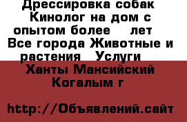 Дрессировка собак (Кинолог на дом с опытом более 10 лет) - Все города Животные и растения » Услуги   . Ханты-Мансийский,Когалым г.